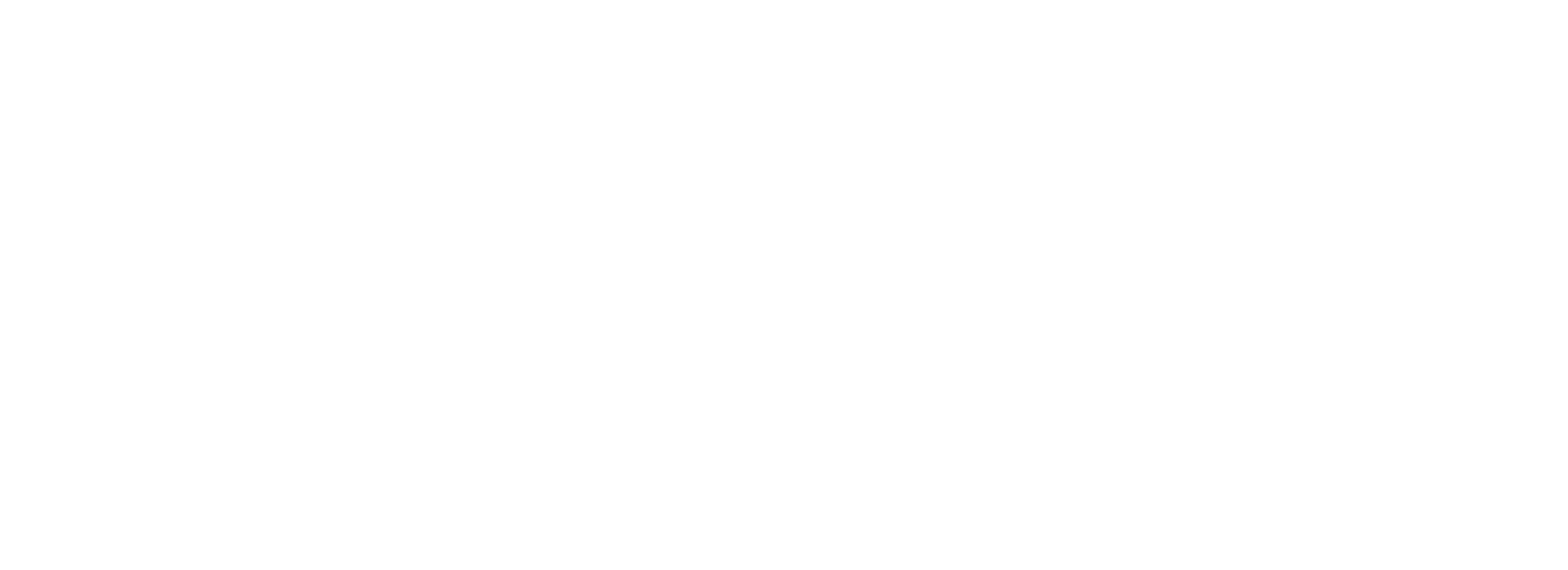 vellaccistore.com